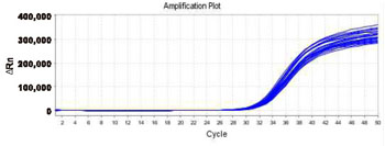 High-pressure homogenizer Test Report 7